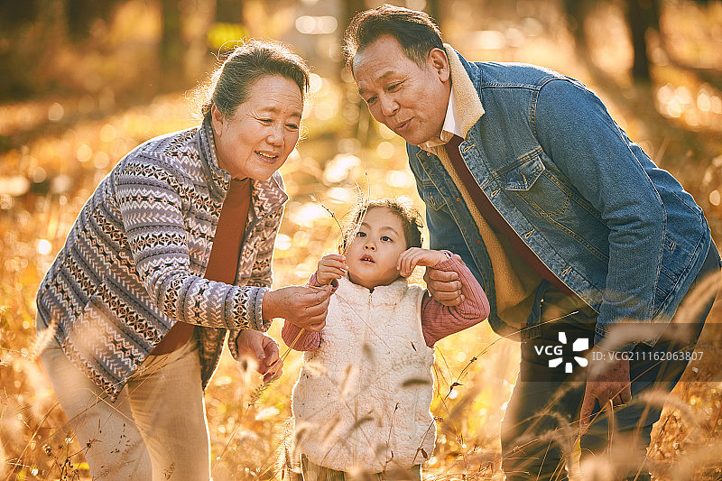 小女孩和她的祖父母户外郊游图片素材