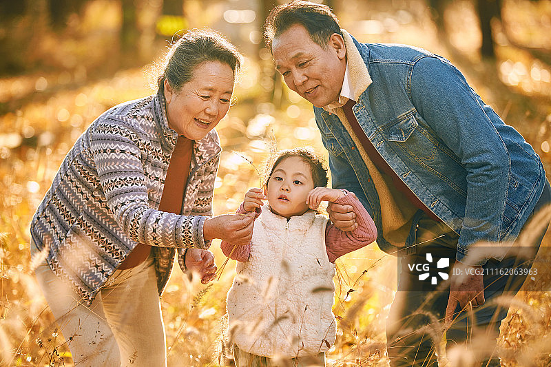 小女孩和她的祖父母户外郊游图片素材