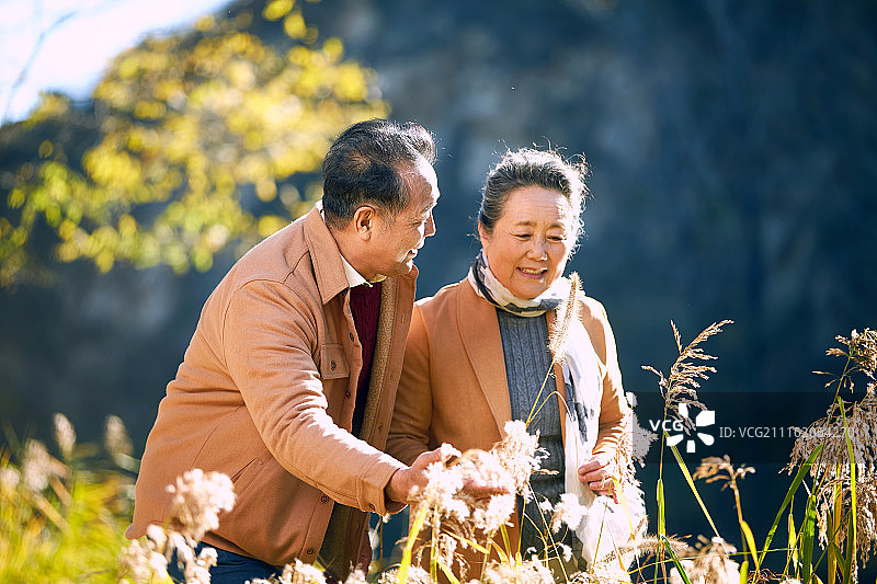 老年夫妇在户外图片素材
