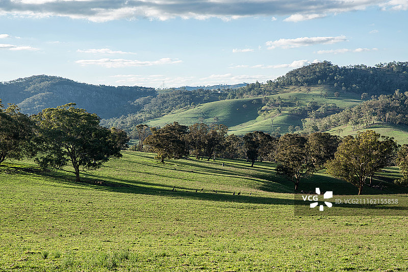 澳大利亚牧场图片素材