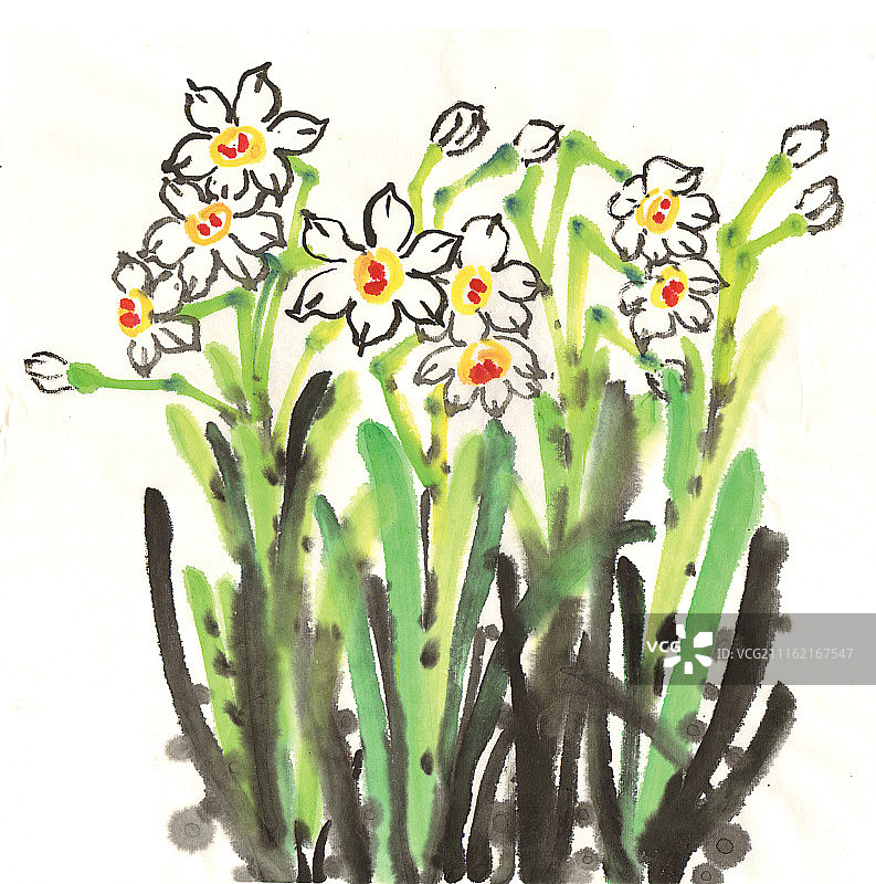 中国画水墨花卉系列第一季共1000幅-水仙花图片素材