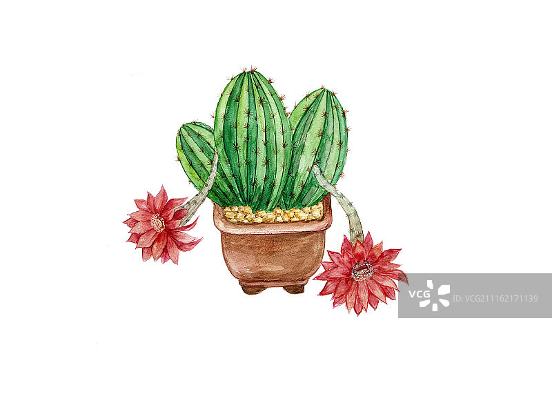 花花世界图片素材