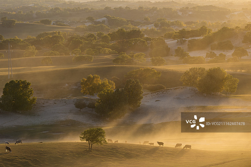 秋天的乌兰布统草原图片素材