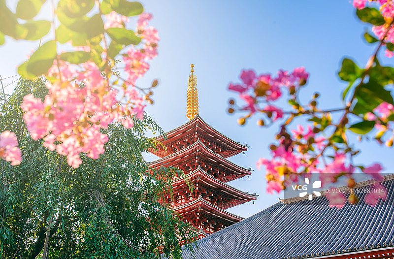 东京浅草寺五重塔晨景图片素材