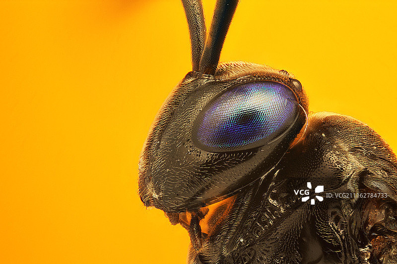 小世界图片素材