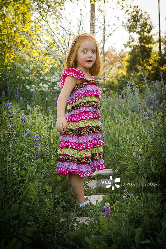 户外人像：在野花丛中的年轻女孩图片素材