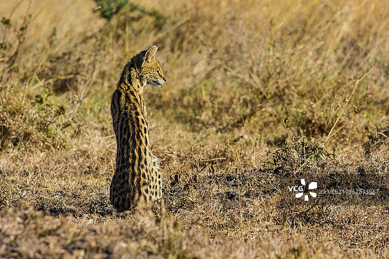 摄影：Paul Wild / 500px图片素材