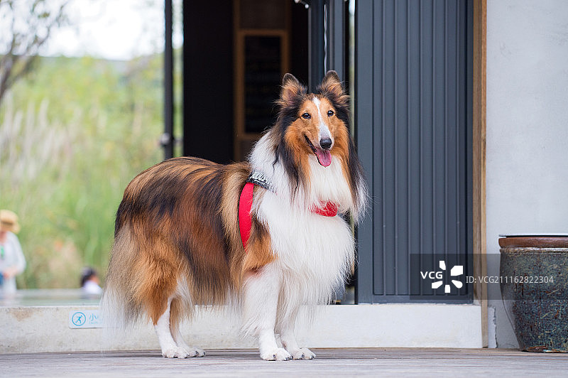 摄影：zhao hui / 500px图片素材