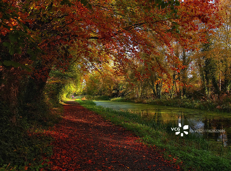 秋日小径图片素材