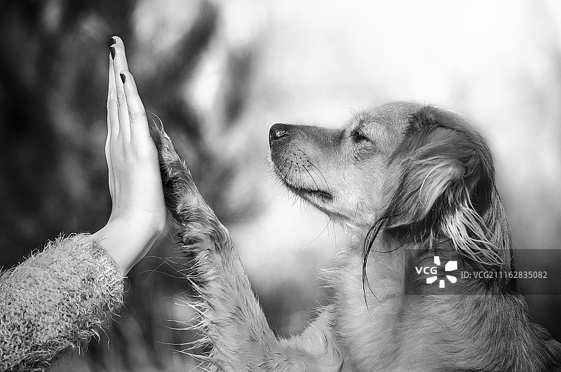 摄影：Carmen Schwarz / 500px图片素材