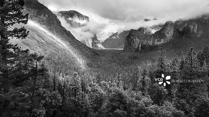 白雪覆盖的山间森林图片素材