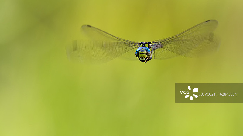 沙菲斯海姆，瑞士图片素材