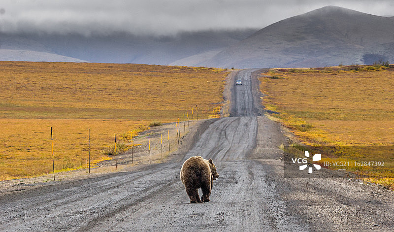邓普斯特交通图片素材