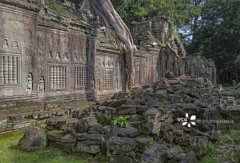 森林中的考古遗址图片素材