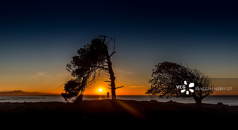 日落时海岸边树木的轮廓图片素材