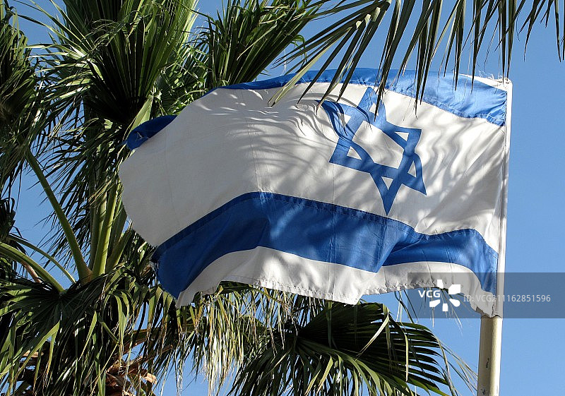 树木背景下的以色列国旗图片素材