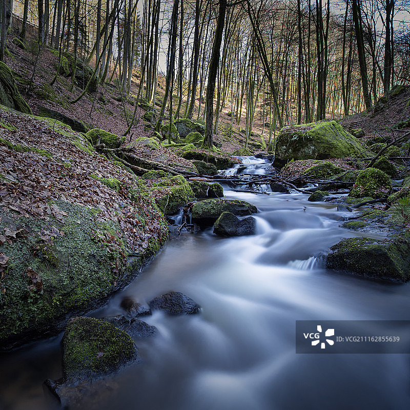流淌在苔藓岩石间的森林河流图片素材