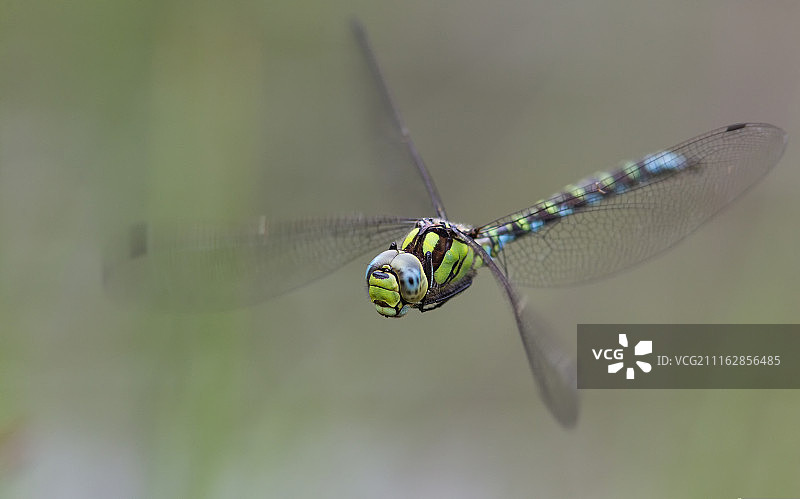 第二次尝试图片素材