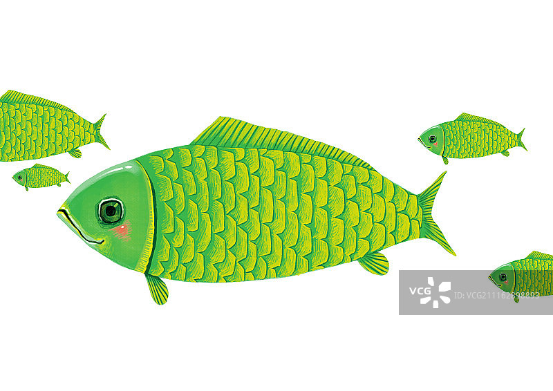 背景分离动物系列组图共3000多幅-绿色的飞鱼图片素材