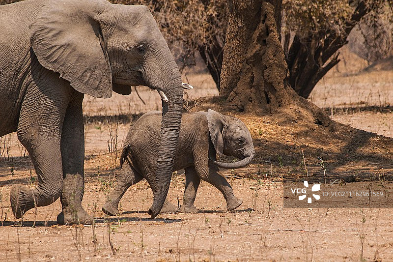 摄影：Paul Wild / 500px图片素材