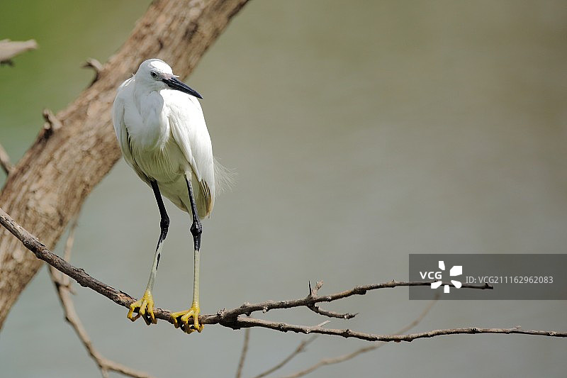 Vijayasekar C / 500px 拍摄作品图片素材