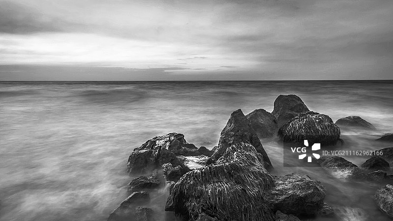 美丽的黑与白图片素材