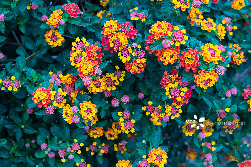 摄影：JK Wirote / 500px图片素材