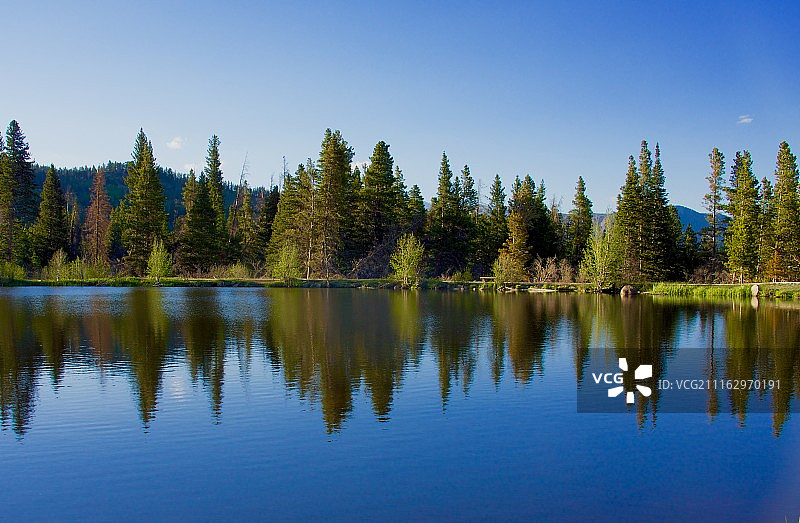 背景是森林的湖泊图片素材