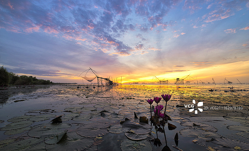 泰国帕他仑府百帕日出莲花湖图片素材