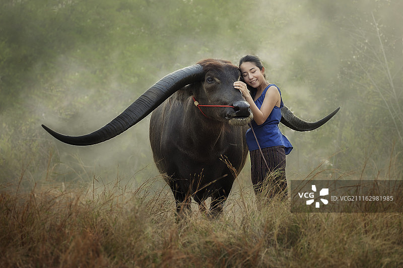 抚摸长角母牛的女人图片素材