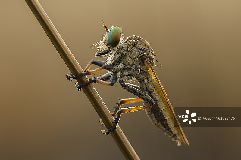 Andreas Karyadi摄影作品 / 500px图片素材