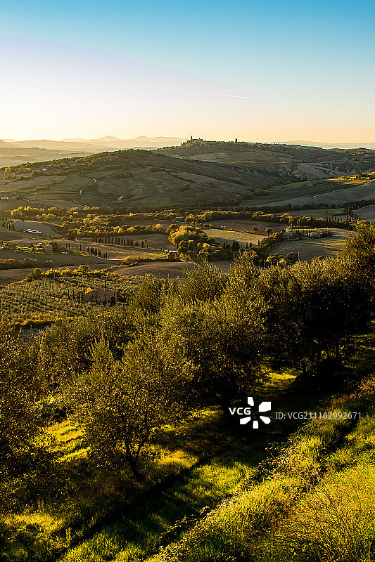有田野和果园的乡村景观图片素材