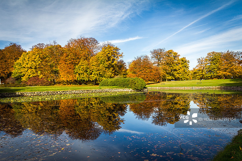 池塘中树木的倒影图片素材