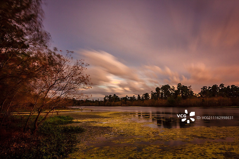 美国林地图片素材
