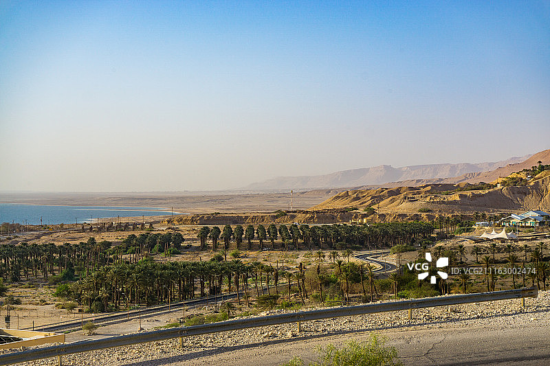 以色列加利利：棕榈树林，客西马尼花园风光图片素材