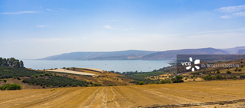 以色列死海、田野和客西马尼花园风光图片素材