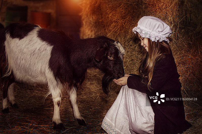 喂山羊的女孩图片素材
