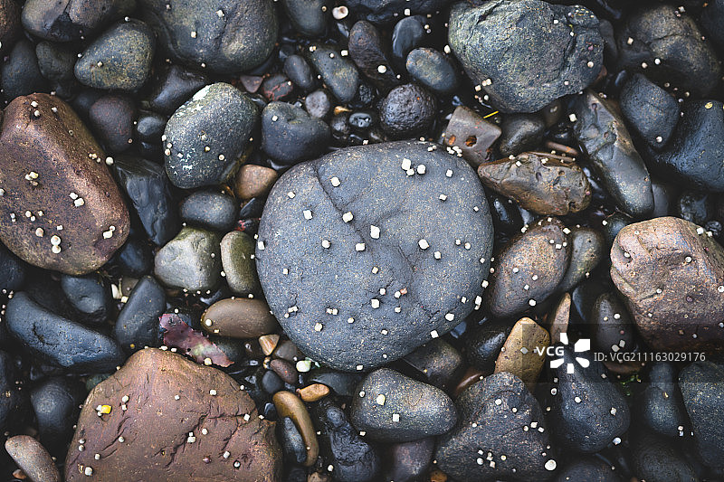 石头和贝壳图片素材