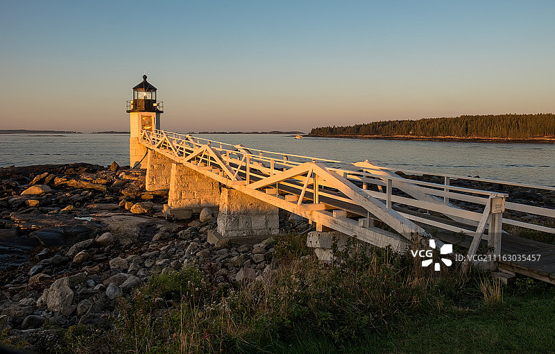 寻找森林图片素材