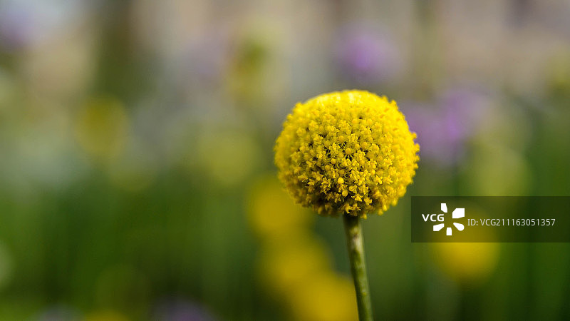 Mihails Barkans摄影作品图片素材