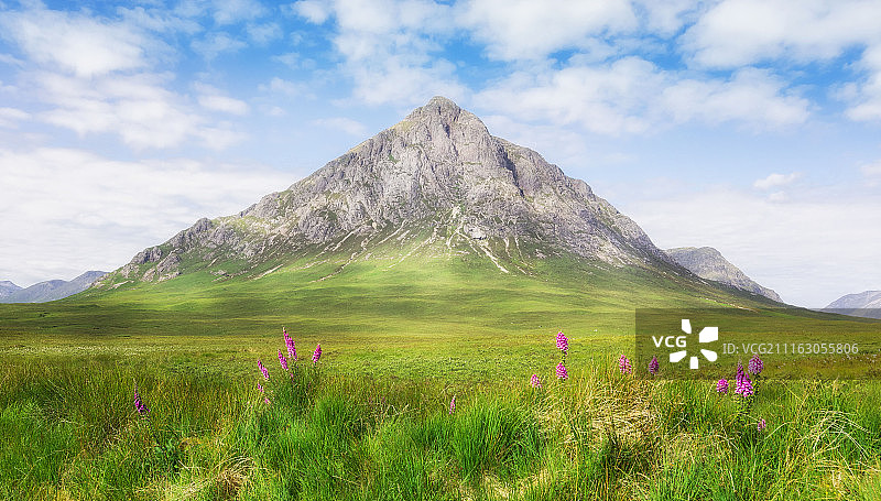 山脚下有花朵的草地图片素材