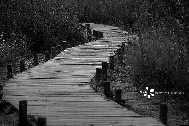 西班牙拉曼加德尔马梅诺尔图片素材