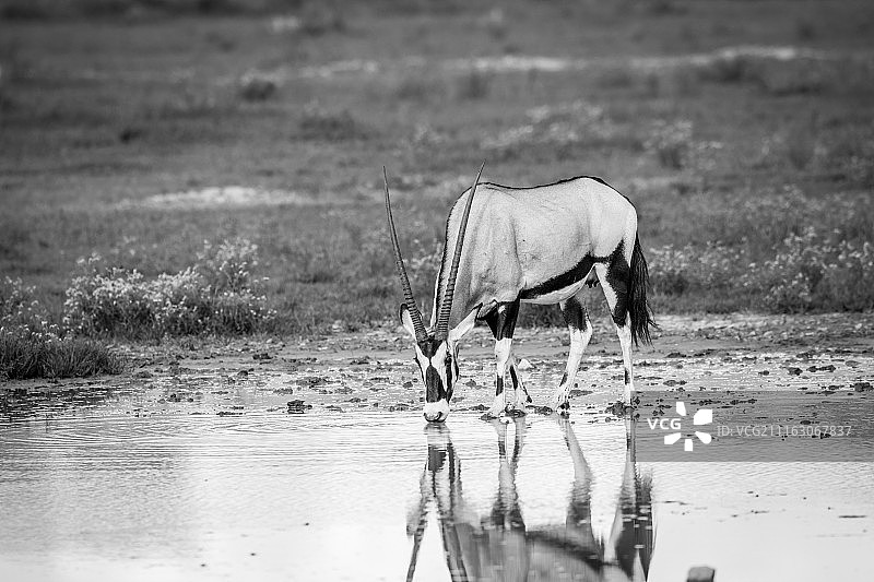 博茨瓦纳茨哈邦图片素材