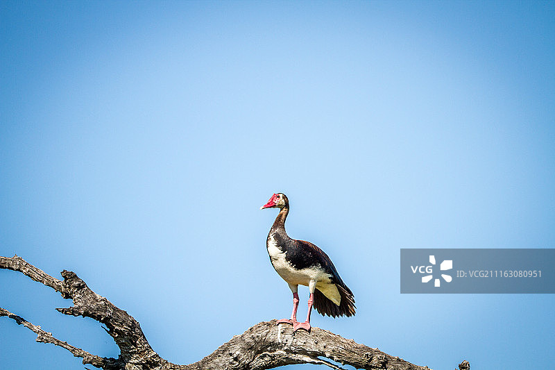 纳米比亚卡蒂马穆利洛图片素材