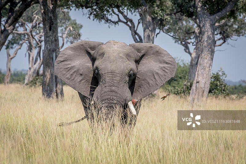 纳米比亚卡蒂马穆利洛图片素材