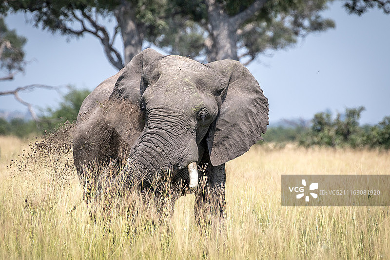 纳米比亚卡蒂马穆利洛图片素材
