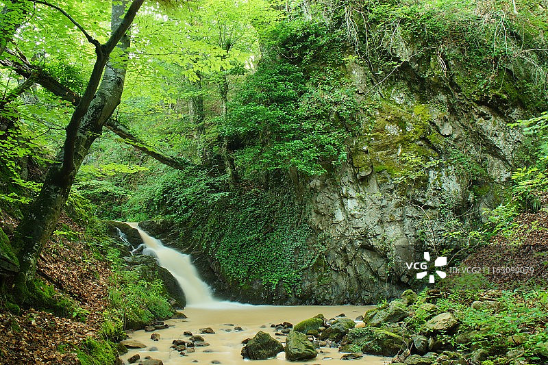 森林中的瀑布景观图片素材