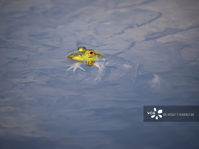 加拿大蒙特利尔图片素材