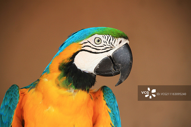 Llubu00c3u00ad，西班牙图片素材