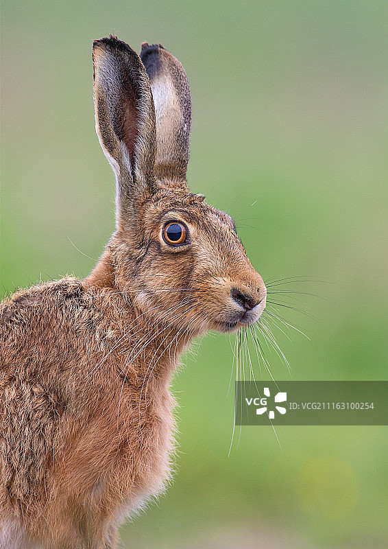 摄影作品：Raymond Purkiss / 500px图片素材